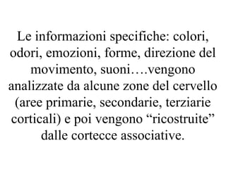 Le informazioni specifiche: colori,
odori, emozioni, forme, direzione del
movimento, suoni….vengono
analizzate da alcune zone del cervello
(aree primarie, secondarie, terziarie
corticali) e poi vengono “ricostruite”
dalle cortecce associative.
 