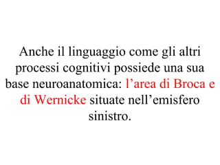 Anche il linguaggio come gli altri
processi cognitivi possiede una sua
base neuroanatomica: l’area di Broca e
di Wernicke situate nell’emisfero
sinistro.
 