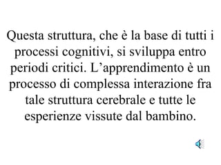 Questa struttura, che è la base di tutti i
processi cognitivi, si sviluppa entro
periodi critici. L’apprendimento è un
processo di complessa interazione fra
tale struttura cerebrale e tutte le
esperienze vissute dal bambino.
 