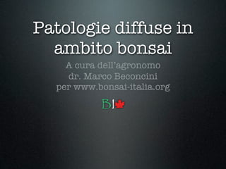 Patologie diffuse in
  ambito bonsai
    A cura dell’agronomo
    dr. Marco Beconcini
  per www.bonsai-italia.org
 