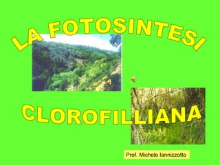 LA FOTOSINTESI CLOROFILLIANA Prof. Michele Iannizzotto 