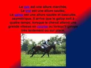 Le pas est une allure marchée,
Le trot est une allure sautée,
Le galop est une allure sautée et basculée,
asymétrique. Il ...