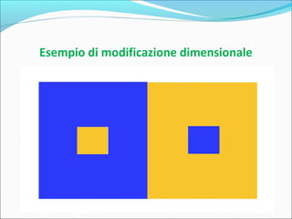 Esempio di modificazione dimensionale
 