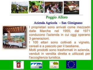 Poggio Alloro
    Azienda Agricola – San Gimignano
I proprietari sono arrivati come mezzadri
dalle Marche nel 1955; dal 1971
conducono l'azienda in cui oggi operano
3 generazioni.
I 100 ettari sono coltivati a vigneto,
cereali e a pascolo per il bestiame.
Molti prodotti sono trasformati in azienda,
venduti in vendita diretta e utilizzati per
l'accoglienza turistica.
 