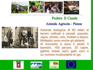 Podere Il Casale
    Azienda Agricola - Pienza
Azienda biologica di 60 ettari di
terreni coltivati a cereali, pascolo,
vigna, oliveto, orto, frutteto e bosco.
Molteplici sono anche gli abitanti.
Al momento ci sono 5 adulti, 5
bambini, 150 pecore, 25 capre,
galline, maiali, asini, gatti, cani, e
un numero incalcolabile di api.
 
