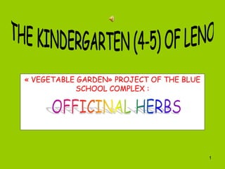 « VEGETABLE GARDEN» PROJECT OF THE BLUE
SCHOOL COMPLEX :
1
 