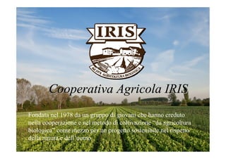 Cooperativa Agricola IRIS
Fondata nel 1978 da un gruppo di giovani che hanno creduto
nella cooperazione e nel metodo di coltivazione “da agricoltura
biologica” come mezzo per un progetto sostenibile nel rispetto
della natura e dell’uomo
 