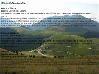 Altri eventi da non perdere:
Adotta la Mucca
Località: Valsugana e Lagorai
Informazioni utili: 60€ di cui 10€ in beneficenza e i restanti 50€ per l’adozione e il mantenimento della
mucca.

E’ un'iniziativa nata per far conoscere la natura incontaminata di queste montagne, per insegnare
come si produce il formaggio secondo metodi antichi e per capire cosa significa vivere in una malga
e portare le mucche all’alpeggio. L'adozione è possibile da metà giugno a metà settembre e da
diritto a far visita alla "propria" mucca durante il periodo dell’alpeggio e a ricevere prodotti caseari
di malga.

I mercatini di Natale
Località: Levico Terme
Apertura: stagione Invernale, periodo natalizio
Particolarmente suggestivi gli eventi che animano i centri del fondovalle nel periodo di natale: offrono
itinerari attraverso gusti e sapori della Valsugana. Prodotti tipici, degustazioni, specialità locali e oggetti di
artigianato artistico.

Malghesi per un giorno
Località: Valsugana
Apertura: stagione Primavera  Estate
Informazioni utili: attività GRATUITA
Queste strutture rappresentano l’avamposto operativo delle azioni volte al mantenimento del paesaggio di
alta montagna, un sistema che merita grande attenzione e che è quindi destinatario di alcuni importanti
interventi di sviluppo rurale.

 