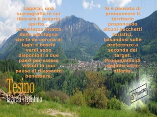 Lagorai, una
scenografia in cui
liberare il proprio
spirito...
La bellezza intatta
della montagna
che fa da corona ai
laghi e boschi
verdi sono
disponibili a due
passi per essere
vissuti in una
pausa di rilassante
benessere.

Si è pensato di
promuovere il
territorio
proponendo
alcuni pacchetti
turistici,
basandosi sulle
preferenze a
seconda dei
target.
Proponiamo di
seguito varie
offerte:

 