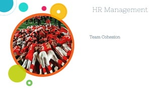 HR Management
Team Cohesion
 