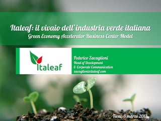 Italeaf: il vivaio dell’industria verde italiana
      Green Economy Accelerator Business Center Model


                          Federico Zacaglioni
                          Head of Development
                          & Corporate Communication
                          zacaglioni@italeaf.com




                                                  Terni, 5 marzo 2013
 