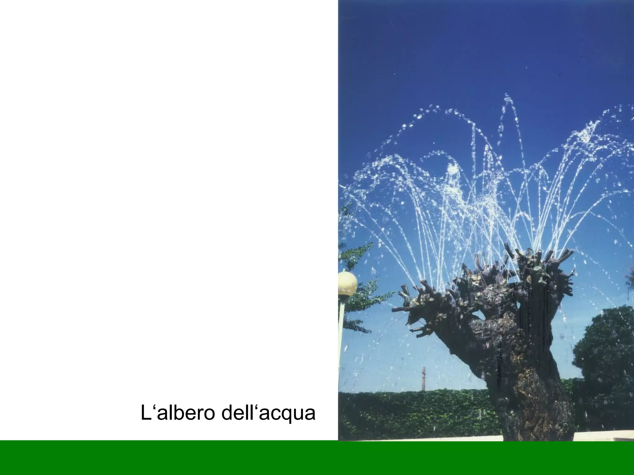 L‘albero dell‘acqua 