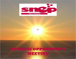 b 
1 
BUSINESS OPPORTUNITY 
MEETING 
 