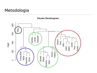 Metodologia
 