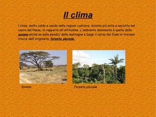 Il clima
l clima, molto caldo e umido nelle regioni costiere, diventa più mite e asciutto nel
cuore del Paese, in rapporto all'altitudine. L'ambiente dominante è quello della
savana anche se sulle pendici delle montagne e lungo il corso dei fiumi si trovano
tracce dell'originaria foresta pluviale.

Savana

Foresta pluviale

 