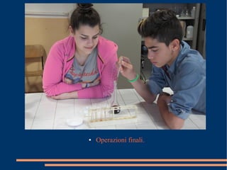 ● Operazioni finali.
 