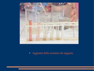 ● Aggiunta delle sostanze da saggiare.
 