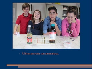 ● Ultima provetta con ammoniaca.
 