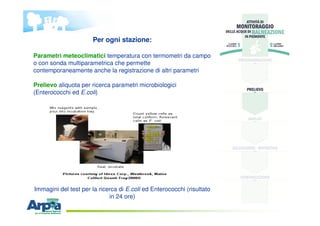 Per ogni stazione:
Parametri meteoclimatici temperatura con termometri da campo
o con sonda multiparametrica che permette
...