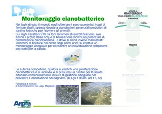 Monitoraggio cianobatterico
Nei laghi di tutto il mondo negli ultimi anni sono aumentati i casi di
fioriture algali, spess...