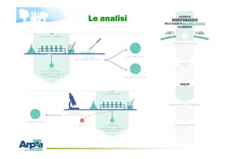Le analisi
 