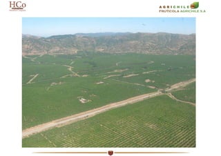 Agrisudafrica
Agrisudafrica
 Established in 2010: about 1000ha of which 600 ha plantable
 First experiment of hazelnut c...