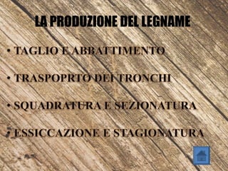 LA PRODUZIONE DEL LEGNAME
 