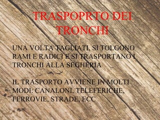 TRASPOPRTO DEI
TRONCHI
UNA VOLTA TAGLIATI, SI TOLGONO
RAMI E RADICI E SI TRASPORTANO I
TRONCHI ALLA SEGHERIA
IL TRASPORTO AVVIENE IN MOLTI
MODI: CANALONI, TELEFERICHE,
FERROVIE, STRADE, ECC
 
