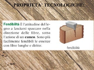 PROPRIETA’ TECNOLOGICHE:
 