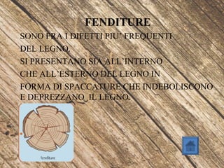 FENDITURE
SONO FRA I DIFETTI PIU’ FREQUENTI
DEL LEGNO.
SI PRESENTANO SIA ALL’INTERNO
CHE ALL’ESTERNO DEL LEGNO IN
FORMA DI SPACCATURE CHE INDEBOLISCONO
E DEPREZZANO IL LEGNO.
 