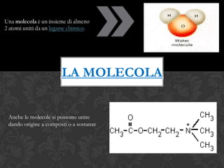 Una molecola è un insieme di almeno
2 atomi uniti da un legame chimico.




                       LA MOLECOLA


 Anche le molecole si possono unire
 dando origine a composti o a sostanze
 