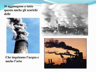 Si aggiungono a tutto
questo anche gli scarichi
delle
Che inquinano l’acqua e
anche l’aria
 