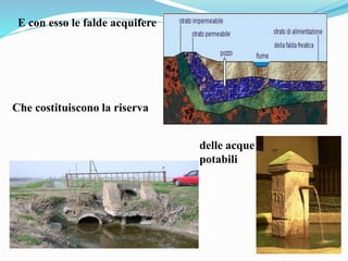 E con esso le falde acquifere
Che costituiscono la riserva
delle acque
potabili
 