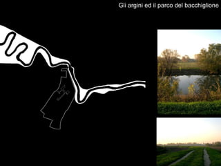 Gli argini ed il parco del bacchiglione
 