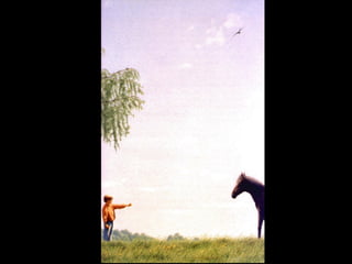 Presentazione mattia quint e cecco web