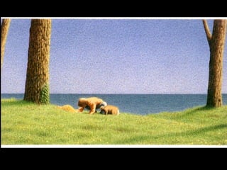 Presentazione mattia quint e cecco web