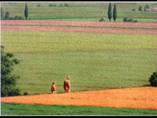 Presentazione mattia quint e cecco web
