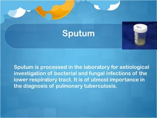 Sputum
Sputum is processed in the laboratory for aetiological
investigation of bacterial and fungal infections of the
lower respiratory tract. It is of utmost importance in
the diagnosis of pulmonary tuberculosis.
 