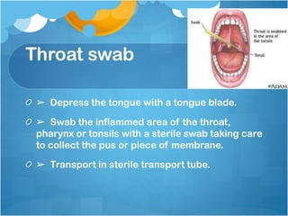 Throat swab
➢ Depress the tongue with a tongue blade.
➢ Swab the inflammed area of the throat,
pharynx or tonsils with a sterile swab taking care
to collect the pus or piece of membrane.
➢ Transport in sterile transport tube.
 