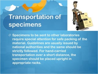 Transportation of
specimens
Specimens to be sent to other laboratories
require special attention for safe packing of the
material. Guidelines are usually issued by
national authorities and the same should be
strictly followed. For hand-carried
transportation over a short distance, the
specimen should be placed upright in
appropriate racks.
 