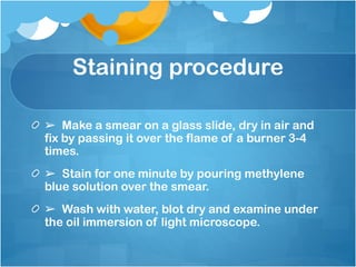 Staining procedure
➢ Make a smear on a glass slide, dry in air and
fix by passing it over the flame of a burner 3-4
times.
➢ Stain for one minute by pouring methylene
blue solution over the smear.
➢ Wash with water, blot dry and examine under
the oil immersion of light microscope.
 