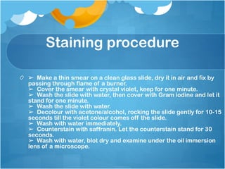 Staining procedure
➢ Make a thin smear on a clean glass slide, dry it in air and fix by
passing through flame of a burner.
➢ Cover the smear with crystal violet, keep for one minute.
➢ Wash the slide with water, then cover with Gram iodine and let it
stand for one minute.
➢ Wash the slide with water.
➢ Decolour with acetone/alcohol, rocking the slide gently for 10-15
seconds till the violet colour comes off the slide.
➢ Wash with water immediately.
➢ Counterstain with saffranin. Let the counterstain stand for 30
seconds.
➢ Wash with water, blot dry and examine under the oil immersion
lens of a microscope.
 