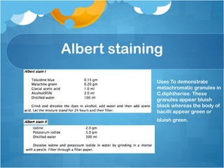 Albert staining
Uses To demonstrate
metachromatic granules in
C.diphtheriae. These
granules appear bluish
black whereas the body of
bacilli appear green or
bluish green.
 