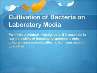 Cultivation of Bacteria on
Laboratory Media
For microbiological investigations it is essential to
learn the skills of inoculating specimens onto
culture media and subculturing from one medium
to another.
 