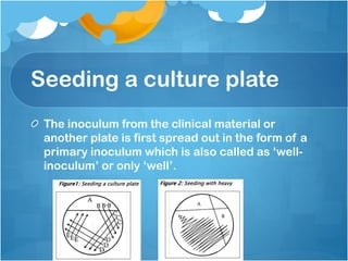 Seeding a culture plate
The inoculum from the clinical material or
another plate is first spread out in the form of a
primary inoculum which is also called as ‘well-
inoculum’ or only ‘well’.
 
