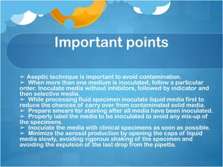 Important points
➢ Aseptic technique is important to avoid contamination.
➢ When more than one medium is inoculated, follow a particular
order. Inoculate media without inhibitors, followed by indicator and
then selective media.
➢ While processing fluid specimen inoculate liquid media first to
reduce the chances of carry over from contaminated solid media.
➢ Prepare smears for staining after all media have been inoculated.
➢ Properly label the media to be inoculated to avoid any mix-up of
the specimens.
➢ Inoculate the media with clinical specimens as soon as possible.
➢ Minimize the aerosol production by opening the caps of liquid
media slowly, avoiding vigorous shaking of the specimen and
avoiding the expulsion of the last drop from the pipette.
 