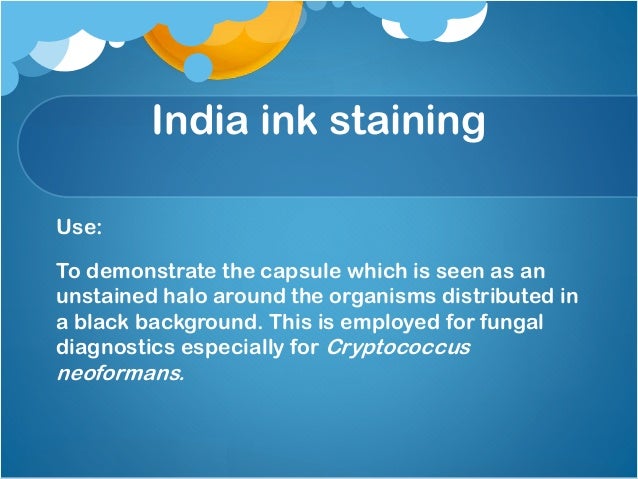 india ink microbiology