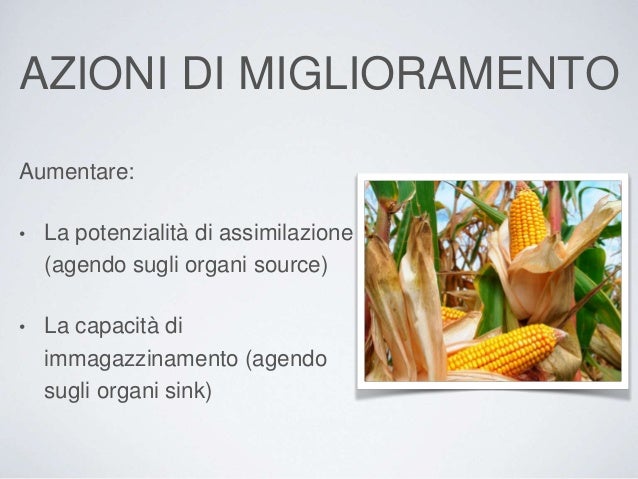 Il miglioramento