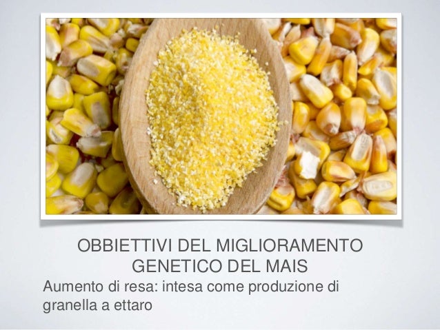 Aglio per aumento di una tintura di potenzialità