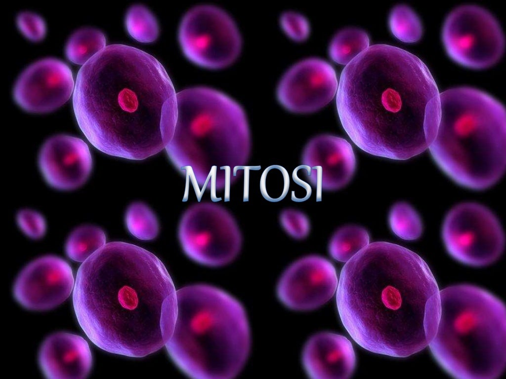 La mitosi